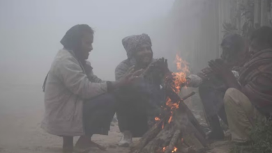 Photo of राजस्थान में शीतलहर का अलर्ट, न्यूनतम तापमान 7.5°C पंहुचा