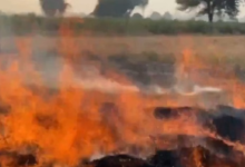 Photo of प्रदूषण के साथ सख्ती भी बढ़ी: पराली जलाने पर 35 गिरफ्तार