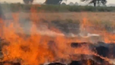 Photo of प्रदूषण के साथ सख्ती भी बढ़ी: पराली जलाने पर 35 गिरफ्तार