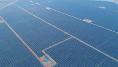 Photo of यूएई ने राजस्थान में शुरू किया ग्रीन एनर्जी मिशन