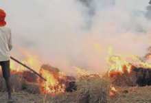 Photo of यूपी के इस जिले में सेटेलाइट से पकड़ में आए पराली जलाने वाले