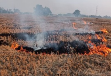 Photo of हरियाणा में सख्त हुए अफसर: पराली जलाने पर 9 किसानों की गिरफ्तारी