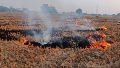 Photo of हरियाणा में सख्त हुए अफसर: पराली जलाने पर 9 किसानों की गिरफ्तारी