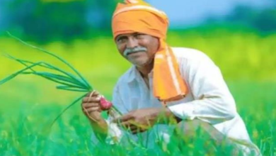 Photo of अपनी जमीन की मनचाही कीमत मांग सकेंगे हरियाणा के किसान