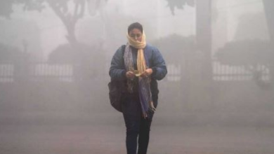 Photo of एमपी में ठंड की मार, 17 जिलों में शीतलहर का अलर्ट