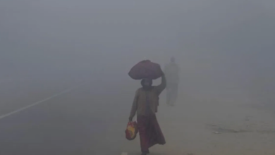 Photo of राजस्थान में कड़ाके की ठंड; सीजन में पहली बार पारा 5 डिग्री