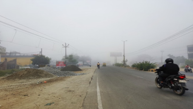 Photo of पंजाब में कोहरा शुरू: अमृतसर में दृश्यता 800 मीटर दर्ज