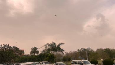 Photo of राजस्थान में थमी बारिश, अब फिर बदलेगा मौसम