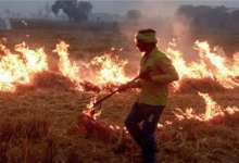 Photo of सख्ती के बाद भी नहीं थम रही पराली की आग,  इस जिले में 21 किसानों पर केस दर्ज