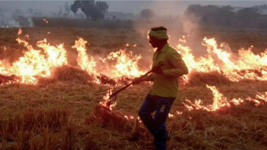 Photo of सख्ती के बाद भी नहीं थम रही पराली की आग, इस जिले में 21 किसानों पर केस दर्ज