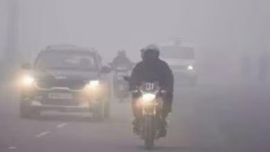 Photo of एमपी में बर्फीली हवाओं के बीच कड़ाके की ठंड ,शीतलहर का अलर्ट