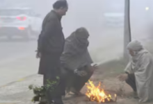 Photo of राजस्थान: उत्तरी हवाओं ने बढ़ाई सर्दी, तापमान 5°C से नीचे