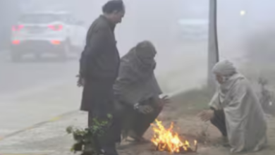 Photo of राजस्थान: उत्तरी हवाओं ने बढ़ाई सर्दी, तापमान 5°C से नीचे