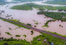 Photo of मराठवाड़ा में सिर्फ छह महीनों में 537 किसानों ने की खुदकुशी