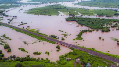 Photo of मराठवाड़ा में सिर्फ छह महीनों में 537 किसानों ने की खुदकुशी