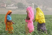 Photo of राजस्थान के किसानों को केंद्र की बड़ी सौगात