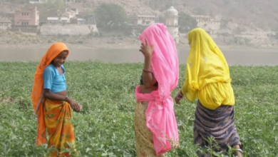 Photo of राजस्थान के किसानों को केंद्र की बड़ी सौगात