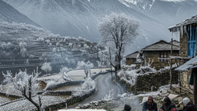 Photo of उत्तराखंड में भीषण ठंड शुरू, शीतलहर और कोहरे का अलर्ट जारी