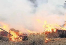 Photo of  17 किसानों की हुई गिरफ्तारी, 7 पर केस… नहीं थम रहे धान के अवशेष जलाने के मामले