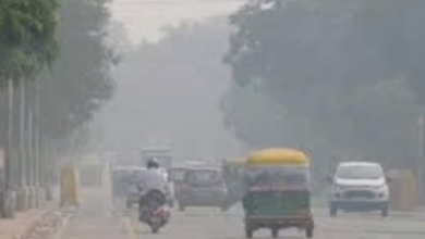 Photo of मध्यप्रदेश में पारा लुढ़का, आज 6 जिलों में शीतलहर का अलर्ट