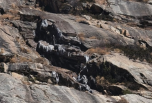 Photo of  उत्तरकाशी: गंगोत्री नेशनल पार्क में पारा गिरने से जमे नदी-नाले