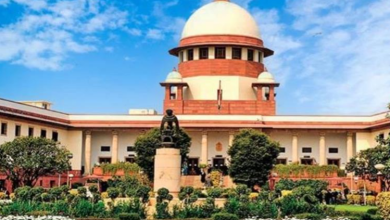 Photo of करनाल में BJP दफ्तर तक सड़क बनाने के लिए उखाड़े 40 पेड़