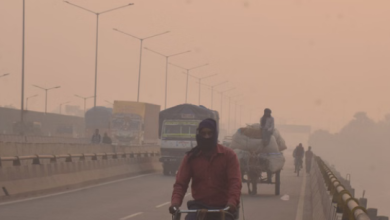 Photo of जहरीली हुई हवा: फेफड़ों में मिल रहे धूल-धुएं के कण, बढ़ रहा लकवे का खतरा