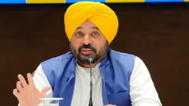 Photo of PU सीनेट चुनावों के ऐलान पर सीएम मान का बड़ा बयान