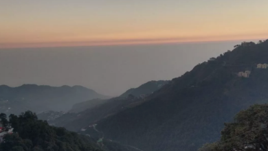 Photo of उत्तराखंड: पर्वतीय क्षेत्रों में पाले की मार, ठंड बढ़ने के आसार