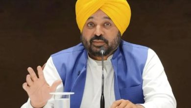 Photo of सीएम मान ने बीबीएमबी के लिए अलग कैडर बनाने को दी मंज़ूरी