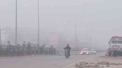 Photo of दून समेत छह जिलों में कोहरे का यलो अलर्ट