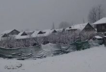 Photo of कश्मीर-लद्दाख में बर्फ का कहर: सोनमर्ग और जोजिला में ताजा हिमपात