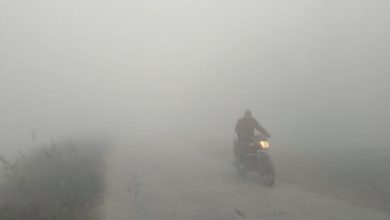 Photo of राजस्थान में न्यू ईयर सेलिब्रेशन पर मौसम का असर