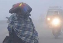 Photo of  हरियाणा में ठंड से जन-जीवन अस्त-व्यस्त, 8 जिलों में छाई धुंध…