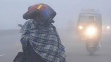 Photo of  हरियाणा में ठंड से जन-जीवन अस्त-व्यस्त, 8 जिलों में छाई धुंध…