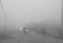 Photo of पंजाब में घना कोहरा: फिरोजपुर में सड़क हादसे में रोडवेज चालक की मौत