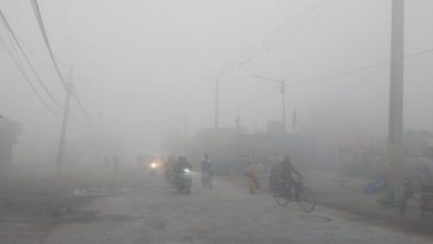 Photo of पंजाब में घना कोहरा: फिरोजपुर में सड़क हादसे में रोडवेज चालक की मौत