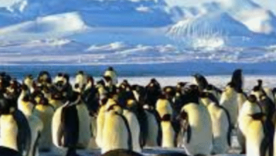 Photo of 6 महीने काम करने की सैलरी 1.31 करोड़ !