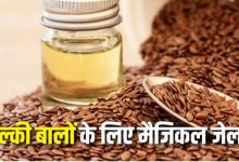 Photo of महंगे हेयर स्पा की जरूरत नहीं; घर पर बने इस ‘नेचुरल जेल’ से पाएं सिल्की