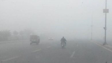 Photo of बिहार में घने कोहरे और कोल्ड वेव का कहर, 29 दिसंबर तक ‘ऑरेंज अलर्ट’ जारी