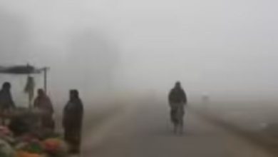 Photo of बिहार में तीन दिन बाद और बढ़ेगी ठंड; आज कैमूर समेत कई जिलों में घना कोहरा