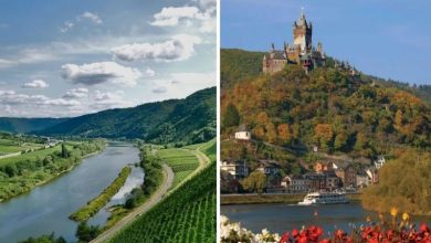 Photo of रोमन इतिहास से लेकर वर्ल्ड क्लास वाइन तक, जानिए मोसेल वैली की खासियत