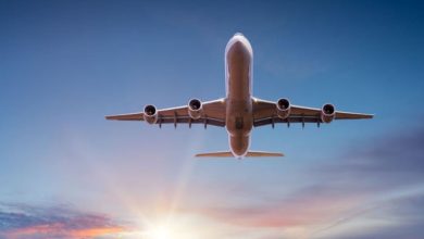 Photo of दिल्ली: यात्री से मारपीट करने वाले निलंबित पायलट वीरेंद्र सेजवाल को मिली जमानत