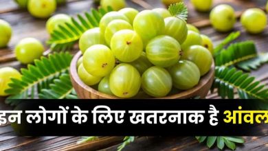 Photo of सर्दियों में खूब खा रहे हैं आंवला? सावधान! ये 8 लोग इसे भूलकर भी न छुएं