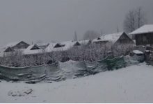 Photo of जोजिला में एक फीट बर्फ गिरी, लद्दाख-कश्मीर संपर्क मार्ग पर यातायात संकट
