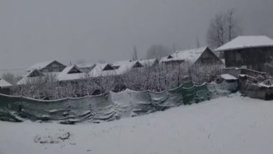 Photo of जोजिला में एक फीट बर्फ गिरी, लद्दाख-कश्मीर संपर्क मार्ग पर यातायात संकट