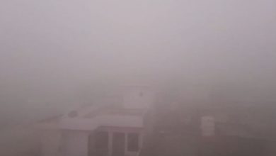 Photo of पंजाब में कोहरे की मार: 10 मीटर तक घटी दृश्यता, गिरेगा रात का पारा
