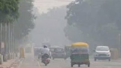 Photo of मध्य प्रदेश में कोहरे का कहर, ठंड ने तोड़े रिकॉर्ड