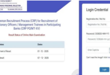 Photo of प्रोबेशनरी ऑफिसर मुख्य परीक्षा का रिजल्ट जारी