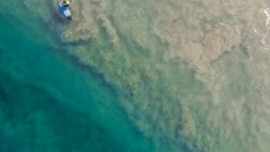 Photo of दुनिया का सबसे रहस्यमयी समुद्र, जिसमें नहीं डूब सकता है कोई